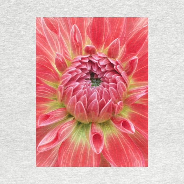 closeup macro photography of bright glowing red dahlia bloom with closed petals over a green coloured center by mister-john